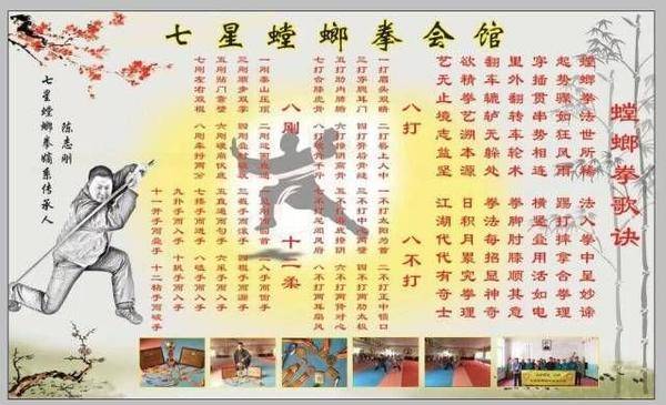 七星螳螂拳传人陈志刚