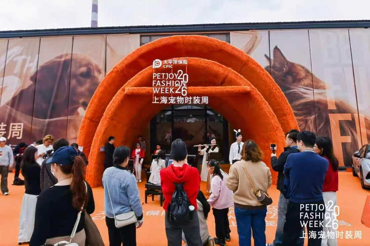 太平洋寿险上海分公司护航“人宠共生”新时尚：跨界融合为宠物经济注入金融安全底色