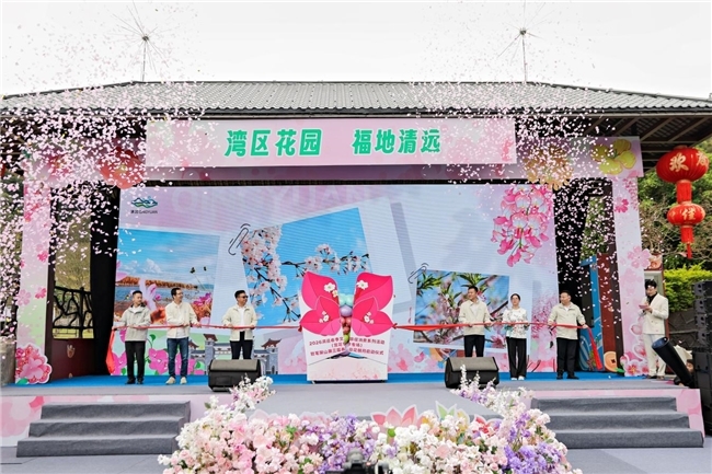 全域花事齐绽放 凤城文旅共繁荣 清远打造春季赏花文旅新名片