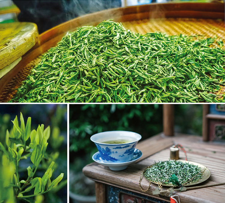 且饮惠明茶  抒写性灵诗  ——“茶韵诗情”诗歌征集活动启动