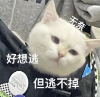 踏青不内耗，艾瑞泽8 PRO承包打工人的周末快乐