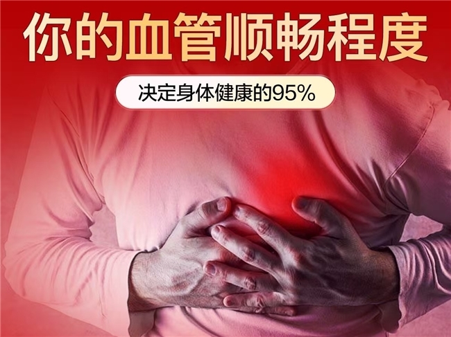 哪家水蛭素牌子效果好？2026严选十大品牌测评，成人心脑养护必选VOXXI纳豆激酶