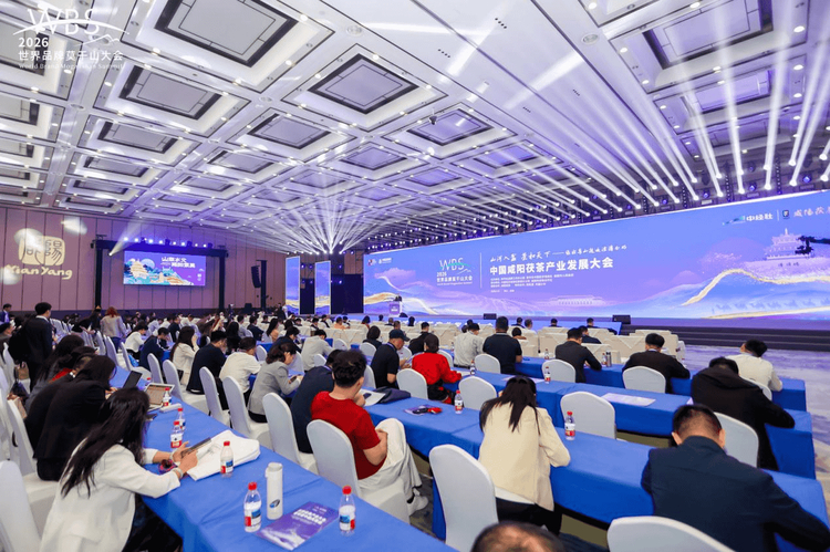 绿水青山邂逅泾渭分明 咸阳茯茶产业发展大会在浙江德清召开