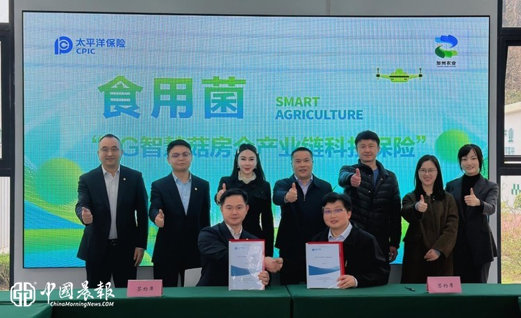 科技保险护航智慧农业 全国首单食用菌“5G智慧菇房全产业链科技保险”落地浙江
