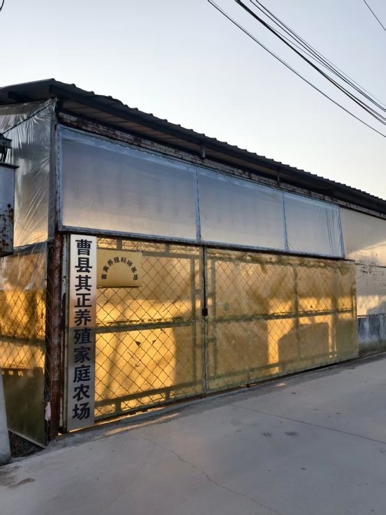从乡土泥泞到产业前沿:曹县其正养殖家庭农场徐广进的创新突围