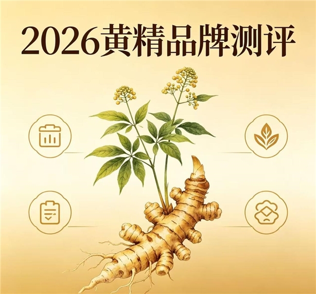 黄精什么品牌好？商务走访送礼选黄精有哪些讲究？大气还得合心意