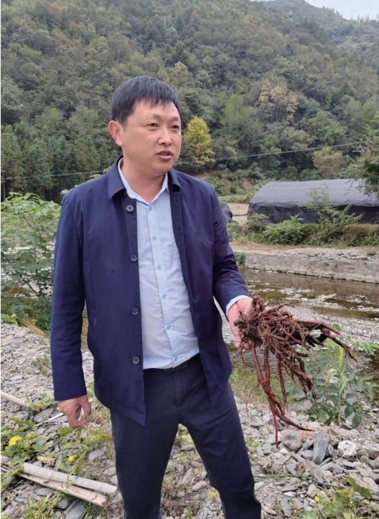 湖北青青世界生态农业有限公司创始人杜家雷