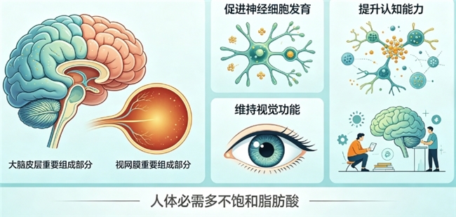 补脑DHA十款品牌甄选：助力学生强化记忆，讲究藻源纯净科学配比吸收高效口感清新
