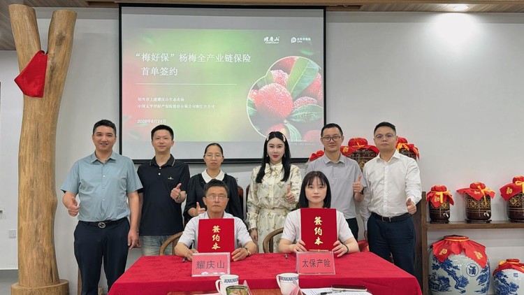 “梅”好共富路：全国首单杨梅全产业链保险落地上虞