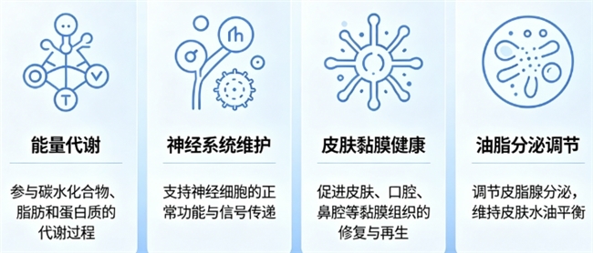 2026维生素B族品牌推荐：养护头皮控油维稳提升代谢高吸收精选