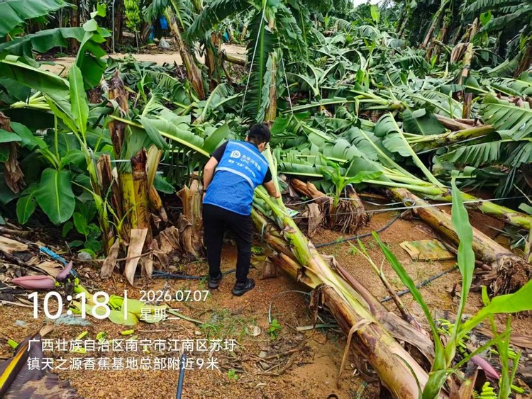 风雨坚守三心服务，筑牢民生保障防线 ——中国太保广西、广东、湖北防汛抗灾纪实