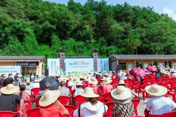 380余亩稻田被认领！慈利县甘堰土家族乡第四届农耕文化节成功举办