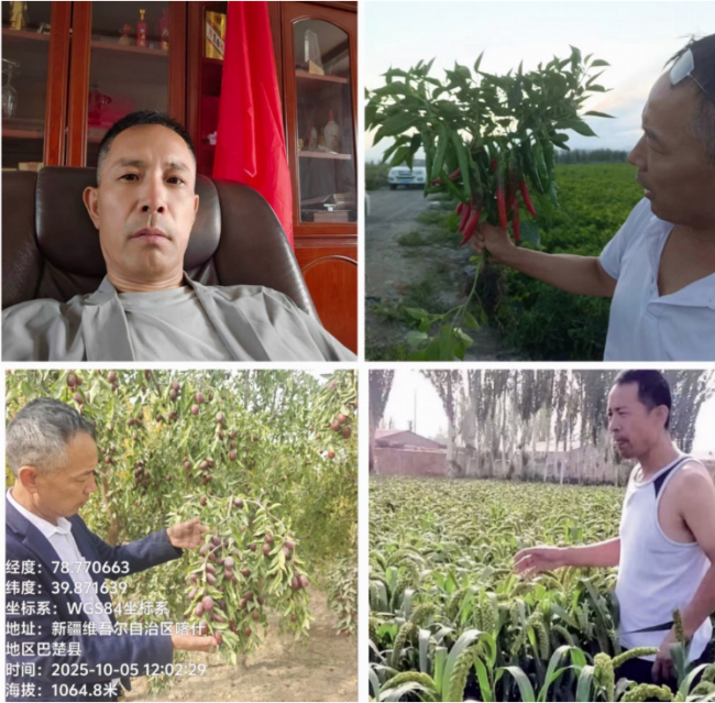 卅载戈壁耕耘,实干铺就南疆富民路—记喀什长远农业创始人汲长远