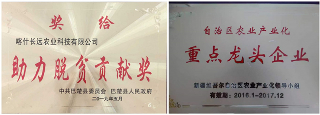 卅载戈壁耕耘,实干铺就南疆富民路—记喀什长远农业创始人汲长远
