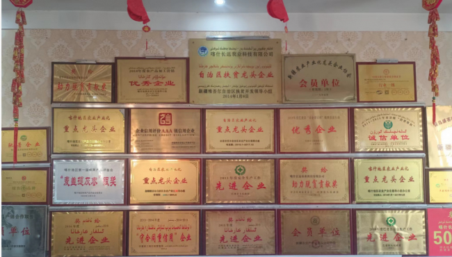 卅载戈壁耕耘,实干铺就南疆富民路—记喀什长远农业创始人汲长远