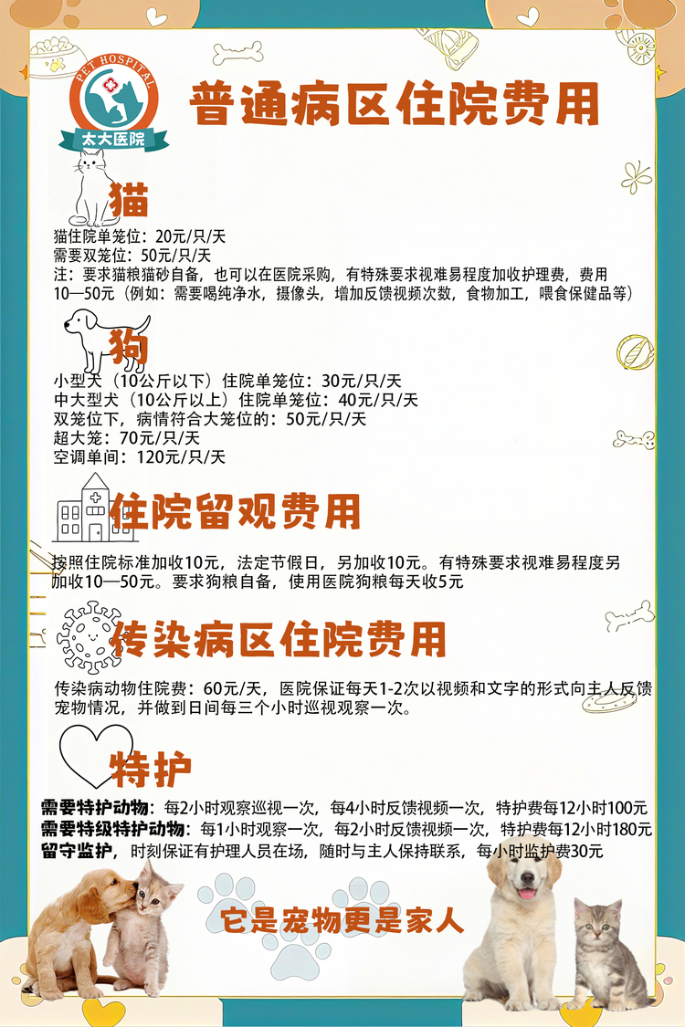 2026年知名的宠物医疗医院专业实力与用户口碑盘点