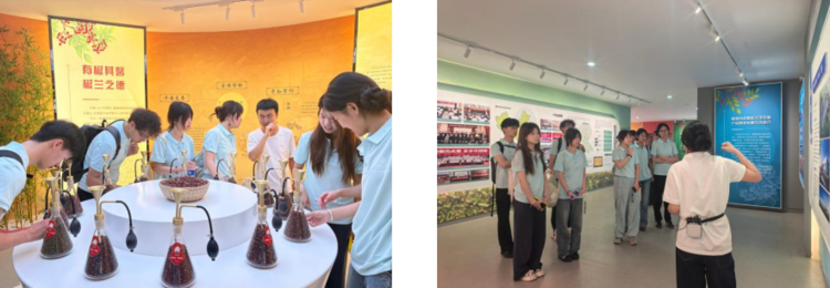 千团万人推普行，椒香陇南青年兴