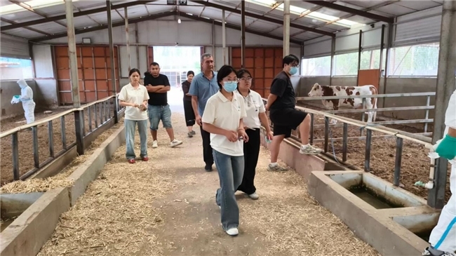 三下乡|疆野公卫守护 虫疾科普惠民——实践团深入南疆基层开展外寄生虫专项科普宣传