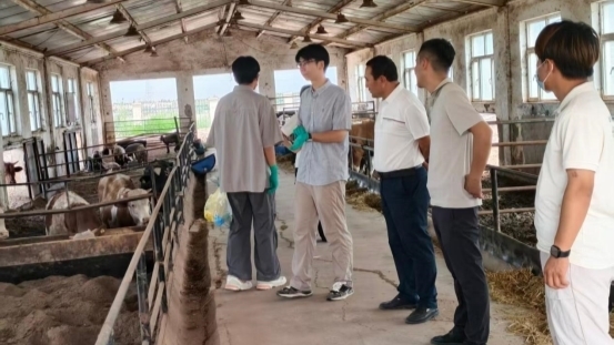 赴南疆大地送畜牧良方！塔大动科院实践团圆满完成三下乡防疫服务