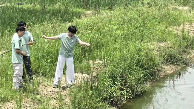 采样护碧水 调研惠民生！安农大实践团守护汲河沿岸稻虾富民产业