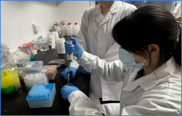 以科创淬炼青春，药科大学青年团队：在PDC新药研发中完成双向成长