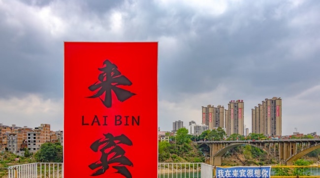 命运多舛,身残志坚,渴望生的希望! 命运多舛,身残志坚,渴望生的希望!