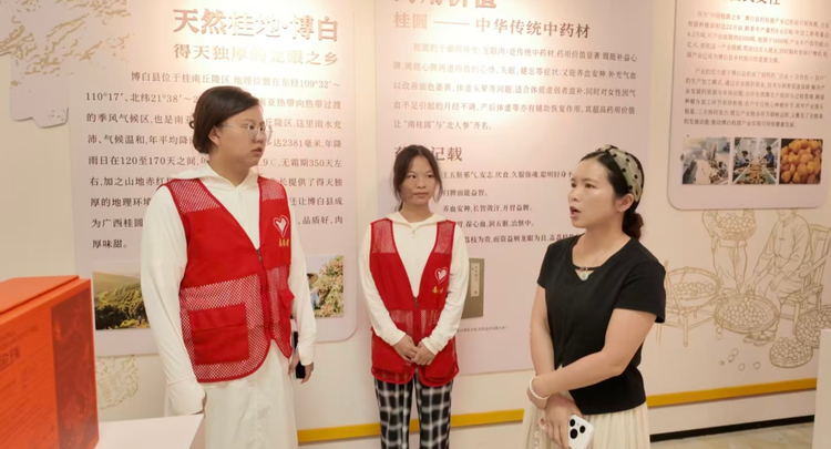 调研博白桂圆产业：以青年视角看传统农产的现代化突围