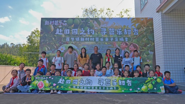赴田园之约 寻芭乐甜香——南安市蓬华镇新村村芭乐亲子采摘季活动举办