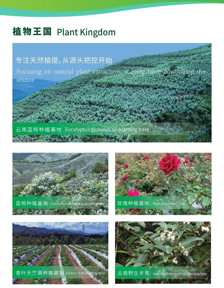 美甲店精油品牌加盟怎么选？曼丁山精油靠谱商家测评排名