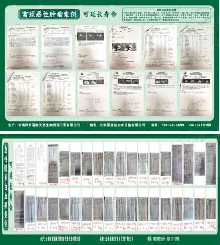 滇鹿三十载·鹿缘济世情 ——郭国康与滇鹿品牌发展历程纪实