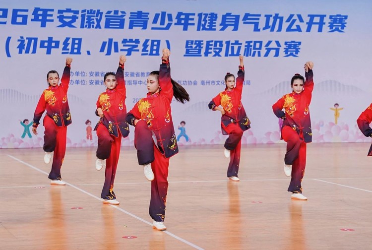 微信图片_20261017125038_252_282