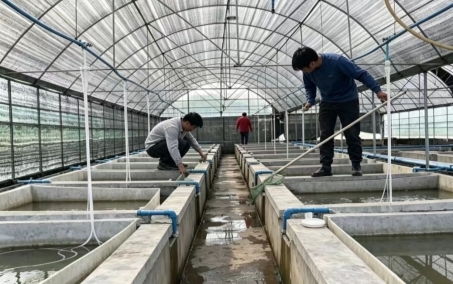 科创赋能冷水渔业:海渔智探团队以技术践行多重社会价值 科创赋能冷水渔业:海渔智探团队以技术践行多重社会价值
