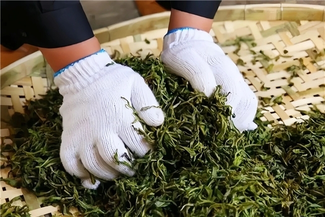 凤凰单丛高山茶和低山茶差别有多大？4个辨别技巧，买茶不再被忽悠